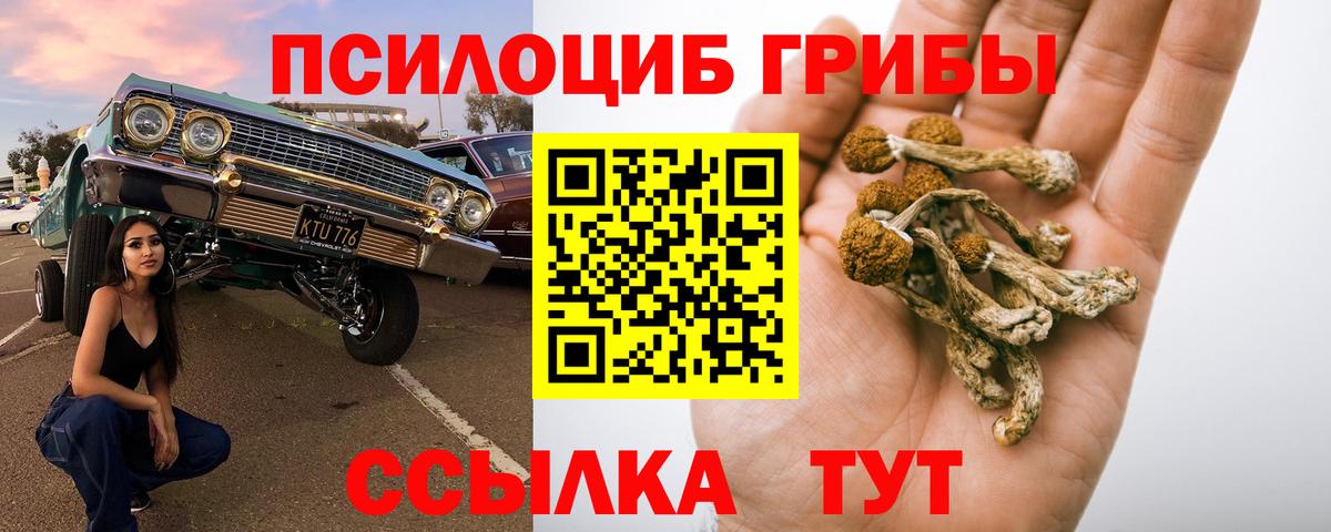 купить  сайты  Вход с VPN  Приморско-Ахтарск  Псилоцибиновые грибы ЛСД 