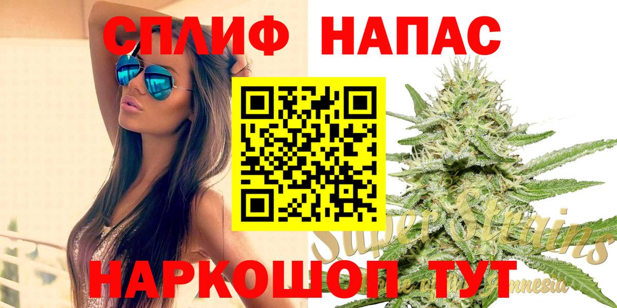 Каннабис сатива Приморско-Ахтарск